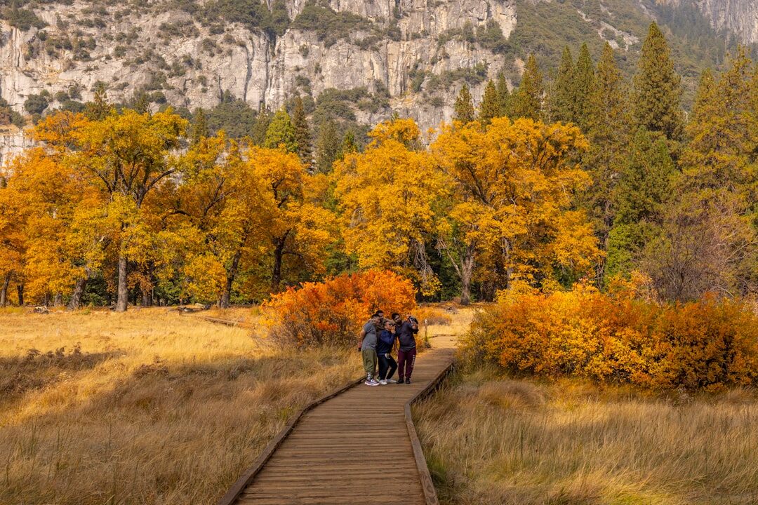 senior couple walking in park