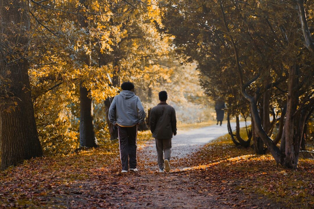 seniors walking in park