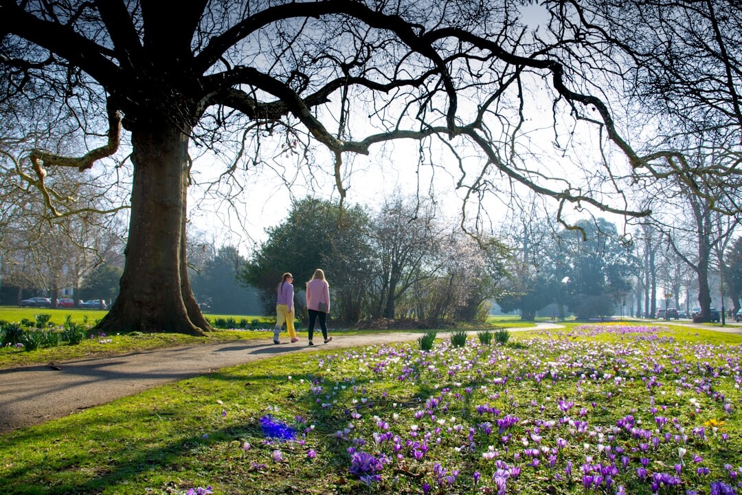 senior couple walking in park